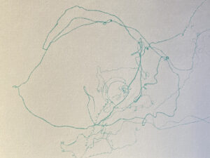 0c740607 8399 4aef 96a0 cbbc0300dc6c scaled