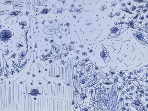 29ec7866 b57f 47e4 9373 95795a756732 scaled