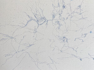 2e0f7e31 108d 4a30 bc6b c547cd0d79f5 scaled