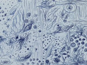 6c677e18 c89e 4d41 ad67 9e7abbb9656b scaled