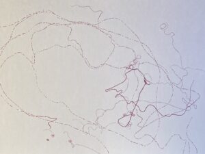 a79ac4d1 2509 4c44 89d4 d7d9d58dda0a scaled