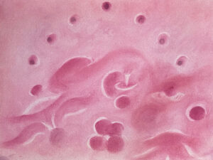 a9515406 1049 4bb9 b32d d30342bd47f1 1