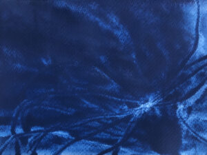 bbbd8c62 fdbb 4a6d 837b 24d852aef44b 1 scaled