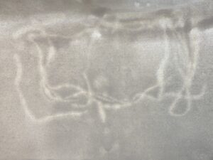 bc2e98d0 f044 4c8a 8433 10d50fe25caf scaled