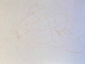 bd6346d9 baad 4ae5 9509 b1de1e8623b9 scaled