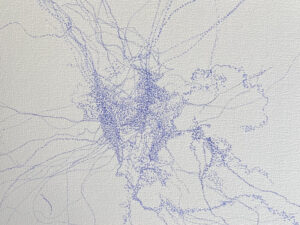 cc2214bf bd0c 435e a7b9 d851187f7ae7 scaled