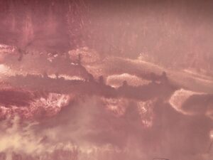 cf0ce746 3423 4bf6 ace1 f427814c3240 1 scaled