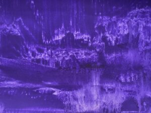 d17a2ec6 3650 46b8 9b10 102d087eb150 scaled