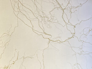 e8cb1b46 2f3c 4947 b2f4 cc4af9c6ae07 scaled