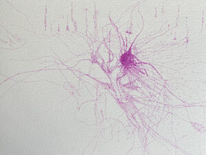 ee7b2c70 8989 4c82 b59a fdb9cb8b3916 scaled