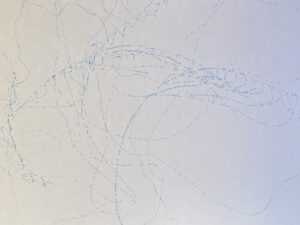 f31d01b8 d24d 4b03 a10b 5a8eff7d8571 scaled