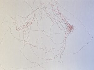 fcbe27fa 323b 4e1e 9b6c b602c877f1eb scaled