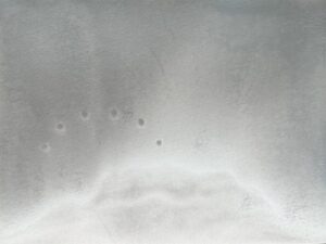 img 1077 1 scaled e1755260203277