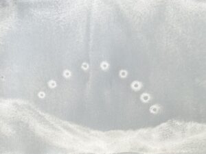 img 1086 scaled e1755383989455