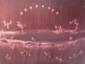 rythmic drawing in red and white, white dots showing arc and rythmic elements interacting