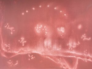 mars frequencies scaled