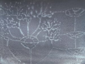 photo 2025 03 19 17 22 23 1