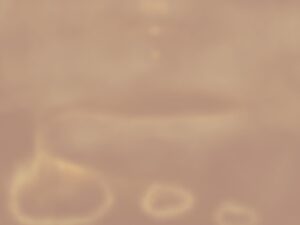 cropped 2nd untitled