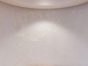 img 1310