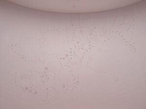 img 1442