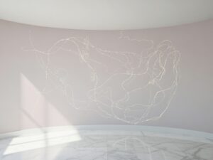 img 8679