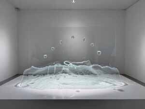 img 9817