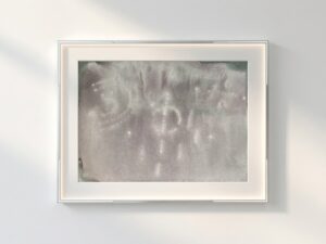 img 4623
