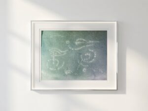 img 4636